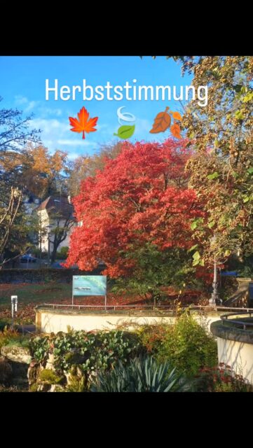 Herbststimmung im Wald ☀️🍃🍂
Auch beim Joggen kann man so manche Schönheit entdecken und einfach mal innehalten und betrachten 😍

#herbststimmung #herbst #sportimwald #moose #flechten #artenvielfalt #naturerleben #rausinsgrüne #jahreszeiten #naturliebe #natur