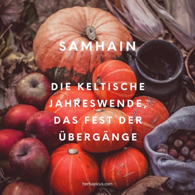 ✨ Samhain – Die keltische Jahreswende ✨

Vom 31. Oktober auf den 1. November feiern wir Samhain, das Fest der Übergänge. 🌒

Es markiert den Wechsel von der hellen zur dunklen Jahreszeit – eine Zeit des Loslassens, der Innenschau und des Neubeginns.

Unsere Vorfahren nutzten diese Zeit, um der Verstorbenen zu gedenken und sich mit ihnen zu verbinden. Man bedankte sich für die Ernte, die mit Samhain zuende geht und die Vorratskeller füllt. Außerdem wurden Pläne für das neue Jahr geschmiedet.. 

Räucherrituale mit Weihrauch, Myrrhe, Holunder oder Wacholder halfen, die Verbindung zur Anderswelt zu spüren. Große Feuer sollten die Dunkelheit vertreiben.

Auch heute lädt uns Samhain ein, still zu werden, durch die Natur zu gehen 🍂, zu lauschen, zu fühlen – und uns daran zu erinnern, dass in jedem Ende ein neuer Anfang liegt. 🌑✨

Mit welchen Ritualen feierst du Samhain? 🪄
Teile es gerne in den Kommentaren.

#samhain #keltischejahreswende #achtsamkeit #naturverbunden #rituale #anderswelt #jahreskreis #loslassen #neubeginn #ahnenfest #herbstmagie #räucherritual #Allerheiligen #jahreszeitenfest #innereruhe #selbstreflexion #herbstzauber #halloween #keltischetradition #allhallowseve

Foto: pixabay, ozaytseva