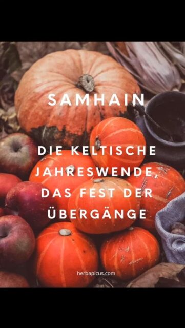 ✨ Samhain – Die keltische Jahreswende ✨

Vom 31. Oktober auf den 1. November feiern wir Samhain, das Fest der Übergänge. 🌒

Es markiert den Wechsel von der hellen zur dunklen Jahreszeit – eine Zeit des Loslassens, der Innenschau und des Neubeginns.

Unsere Vorfahren nutzten diese Zeit, um der Verstorbenen zu gedenken und sich mit ihnen zu verbinden. Man bedankte sich für die Ernte, die mit Samhain zuende geht und die Vorratskeller füllt. Außerdem wurden Pläne für das neue Jahr geschmiedet.. 

Räucherrituale mit Weihrauch, Myrrhe, Holunder oder Wacholder halfen, die Verbindung zur Anderswelt zu spüren. Große Feuer sollten die Dunkelheit vertreiben.

Auch heute lädt uns Samhain ein, still zu werden, durch die Natur zu gehen 🍂, zu lauschen, zu fühlen – und uns daran zu erinnern, dass in jedem Ende ein neuer Anfang liegt. 🌑✨

Mit welchen Ritualen feierst du Samhain? 🪄
Teile es gerne in den Kommentaren.

#samhain #keltischejahreswende #achtsamkeit #naturverbunden #rituale #anderswelt #jahreskreis #loslassen #neubeginn #ahnenfest #herbstmagie #räucherritual #Allerheiligen #jahreszeitenfest #innereruhe #selbstreflexion #herbstzauber #halloween #keltischetradition #allhallowseve

Foto: pixabay, ozaytseva