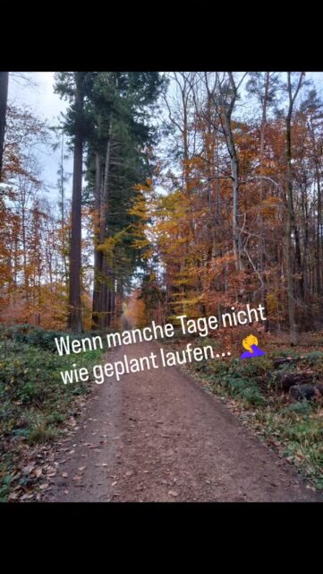 #waldbaden #achtsamkeit #zurückzurnatur #autumnvibes #lifehack #kräuterwanderungenwiesbaden #naturpädagogik #heilpflanzen #naturverbunden #naturerleben