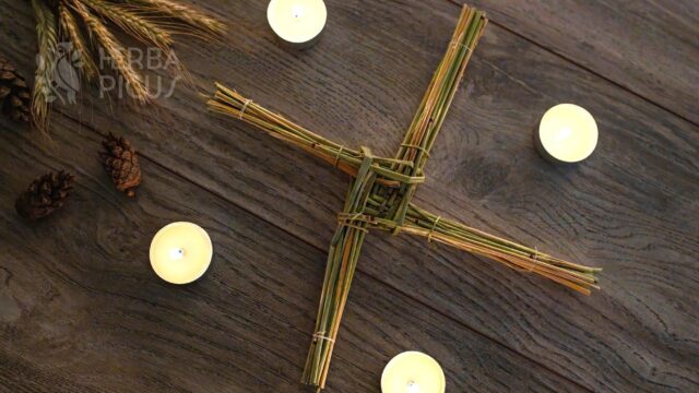 Imbolc – Das Fest des erwachenden Lichts ✨
Spürst du es auch? Die Tage werden länger, die Natur erwacht! 🌿 Der Vorfrühling kündigt sich an – und mit ihm Imbolc. 🌿
Imbolc ist das keltische Fest zwischen Wintersonnenwende und Frühlingstagundnachtgleiche. Es ist die Zeit des Übergangs, in der das Licht zurückkehrt und neues Leben entsteht.
Imbolc wird in der Nacht vom 1. auf den 2. Februar gefeiert. Es ist jene magische Schwellenzeit, in der der Winter seine Kraft verliert und der Frühling langsam erwacht. Das Licht steht im Zentrum – als Symbol für Hoffnung, Neubeginn und das ewige Werden und Vergehen der Jahreszeiten.
Eine zentrale Figur von Imbolc ist die keltische Göttin Brigid. Sie wird bis heute in Irland und Skandinavien als Hüterin des heiligen Feuers, der Heilkunst und der Dichtung verehrt. Brigid bringt Inspiration, Kreativität und transformierende Kraft. 🔥
Zu ihren Ehren werden Brigid-Kreuze gebunden – vierarmige Kreuze aus Stroh, Gras, Lavendel oder anderen Naturmaterialien. Sie werden über Türen und Fenstern angebracht und sollen das Haus und seine Bewohner beschützen.🌾
Imbolc ist auch eine Zeit der Reinigung. Nach den langen, dunklen Wintermonaten sehnen wir uns nach Klarheit und frischer Energie. Jetzt ist der perfekte Moment für:
✨ den ersten Frühjahrsputz – nicht nur äußerlich, sondern auch innerlich
✨ das Räuchern aller Räume mit reinigenden Kräutern wie Salbei, Wacholder, Weihrauch, Lavendel oder Rosmarin
✨ das bewusste Loslassen alter Energien, Gewohnheiten und Gedankenmuster, die dir nicht mehr dienen
Hast du schon erste Frühlingsboten entdeckt? 🌼 Wie feierst du Imbolc?
#imbolc #brigid #jahreskreisfeste #frühlingserwachen #räuchern #reinigung #neuanfang #naturverbundenheit #vorfrühling #spiritualität #achtsamkeit #naturspiritualität #Jjhreszeiten #naturbeobachtung #brigidkreuz #energiereinigung #frühlingsanfang #naturrituale #lichtfest #phänologischejahreszeiten #magischezeiten