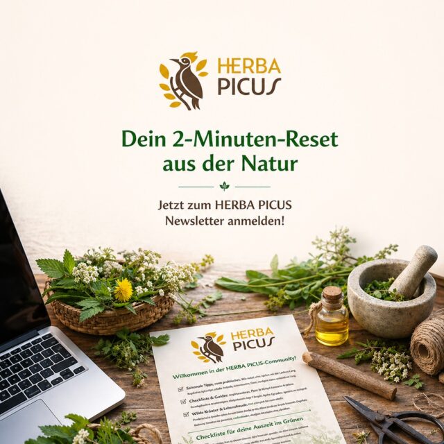 Dein 2-Minuten-Reset aus der Natur. 🌸
Werde Teil der HERBA PICUS-Community! 📨
Schlage die Brücke zwischen hektischem Office-Alltag und der Kraft der Wilkräuter. 🌿

Du stehst unter Strom und suchst einen Ausgleich, hast aber keine Zeit für lange Wanderungen? Ich zeige dir, wie du die Kraft der Wildkräuter als Treibstoff für deinen Alltag nutzt. 🥗

Einmal im Monat klopft die „Herba Picus-Post“ in deinem Postfach an und liefert dir:

🌿Saisonale Kräutergeheimnisse: Was wächst gerade vor deiner Haustür im Rheingau-Taunus-Kreis und im Rhein-Main-Gebiet, und wie kannst du das wilde Grün sicher bestimmen?
✅Checklisten & Guides: Praktische Tools für deine nächste Auszeit im Grünen.
🥬Wilde Kulinarik: Rezepte für den Business-Alltag, die in 10 Minuten fertig sind und die dein Energielevel natürlich pushen.
🧘Resilienz-Hacks: Subtiles Naturwissen und kleine Fokus-Übungen für zwischendurch (direkt vom Schreibtisch aus anwendbar), die deinen Stresspegel sofort senken.
🗓️ Exklusive Einblicke: Erfahre als Erstes von meinen Retreats zwischen Taunus und Reben.

👉Melde dich jetzt zur Herba Picus-Post an und entdecke, wie du mit Wildkräutern mehr Energie, Fokus und Ruhe in deinen Alltag bringst, ganz ohne Mehraufwand.

zur Anmeldung:
👉herbapicus.com/#newsletter/

#herbapicus #wildkräuter #naturimalltag #stressfrei #resilienz #achtsamkeit #rheingautaunus #rheinmain #officebalance #energiebooster #naturverbunden #kräuterwissen #selfcareroutine #mindfulliving #auszeitimalltag

Beitragsbild: KI-generiert