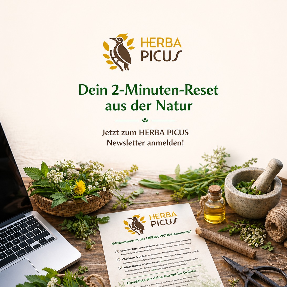 Dein 2-Minuten-Reset aus der Natur. 🌸
Werde Teil der HERBA PICUS-Community! 📨
Schlage die Brücke zwischen hektischem Office-Alltag und der Kraft der Wilkräuter. 🌿

Du stehst unter Strom und suchst einen Ausgleich, hast aber keine Zeit für lange Wanderungen? Ich zeige dir, wie du die Kraft der Wildkräuter als Treibstoff für deinen Alltag nutzt. 🥗

Einmal im Monat klopft die „Herba Picus-Post“ in deinem Postfach an und liefert dir:

🌿Saisonale Kräutergeheimnisse: Was wächst gerade vor deiner Haustür im Rheingau-Taunus-Kreis und im Rhein-Main-Gebiet, und wie kannst du das wilde Grün sicher bestimmen?
✅Checklisten & Guides: Praktische Tools für deine nächste Auszeit im Grünen.
🥬Wilde Kulinarik: Rezepte für den Business-Alltag, die in 10 Minuten fertig sind und die dein Energielevel natürlich pushen.
🧘Resilienz-Hacks: Subtiles Naturwissen und kleine Fokus-Übungen für zwischendurch (direkt vom Schreibtisch aus anwendbar), die deinen Stresspegel sofort senken.
🗓️ Exklusive Einblicke: Erfahre als Erstes von meinen Retreats zwischen Taunus und Reben.

👉Melde dich jetzt zur Herba Picus-Post an und entdecke, wie du mit Wildkräutern mehr Energie, Fokus und Ruhe in deinen Alltag bringst, ganz ohne Mehraufwand.

zur Anmeldung:
👉herbapicus.com/#newsletter/

#herbapicus #wildkräuter #naturimalltag #stressfrei #resilienz #achtsamkeit #rheingautaunus #rheinmain #officebalance #energiebooster #naturverbunden #kräuterwissen #selfcareroutine #mindfulliving #auszeitimalltag

Beitragsbild: KI-generiert