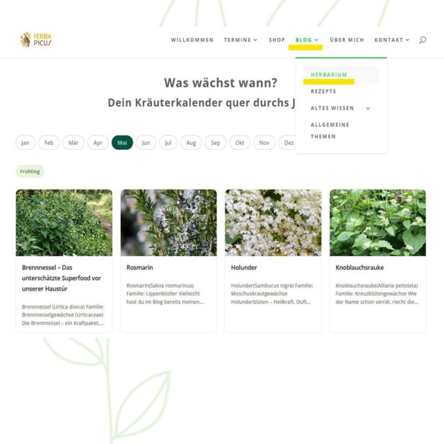 🌿 Was wächst gerade in deiner Natur?

Ab sofort findest du auf meiner Website einen brandneuen Kräuterkalender, der dir Monat für Monat das zarte Grün vor deiner Haustür vorstellt.

Wähle dazu einfach im Blog > Herbarium einen gewünschten Monat durch Anklicken aus und entdecke, welche Heilpflanzen gerade draußen auf dich warten. Mit Pflanzenportraits, Heilwirkung, Sammeltipps und vielen Rezeptideen.
🌱 Im Mai sind es u. a. Holunderblüten, Brennnessel, Spitzwegerich und Knoblauchsrauke.

Das Herbarium wächst stetig weiter, neue Pflanzenportraits kommen dazu. Es lohnt sich also, immer mal wieder vorbeizuschauen und zu staunen, was die Natur gerade bereithält. 🍃

📩 Du möchtest keinen Monat verpassen? Dann trag dich in meinen Newsletter ein! Als Willkommensgeschenk bekommst du eine Checkliste der aktuell wachsenden und blühenden Heilpflanzen – direkt zum Ausdrucken und Mitnehmen auf deine nächste Kräuterwanderung.

Den Link zum Kalender und zur Newsletter-Anmeldung findest du in meiner Bio, ebenso den Link zu meinen Kräuterwanderungen und -Workshops. 🔗

Ich freue mich auf dich! 🌸

#kräuterkalender #heilpflanzen #wildkräuter #herbarium #wasblühtgerade #kräuterwissen #naturapotheke #heilpflanzenkunde #kräuterküche #wildkräutersammeln #saisonalekräuter #kräuterliebe #naturheilkunde #pflanzenkunde #kräuterblog #herbapicus #kräuterwanderung #wildkräuterküche #heimischekräuter #kräuterportrait