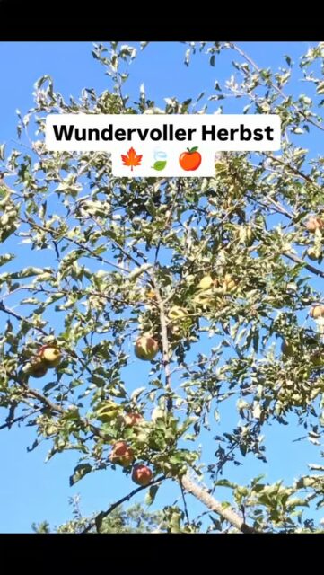 #herbst #naturverbunden #naturgarten #naturerleben