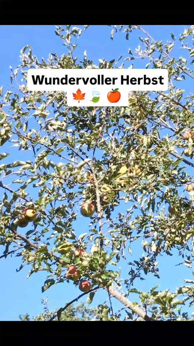 #herbst #naturverbunden #naturgarten #naturerleben
