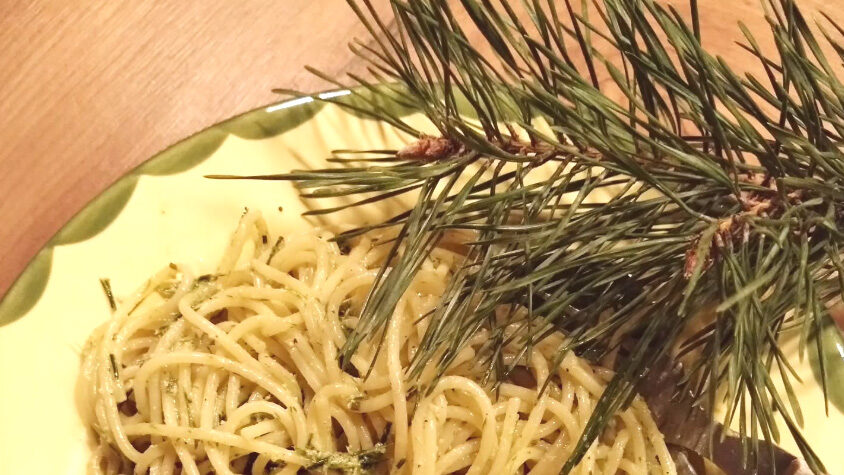 Rezept Kiefernpesto
