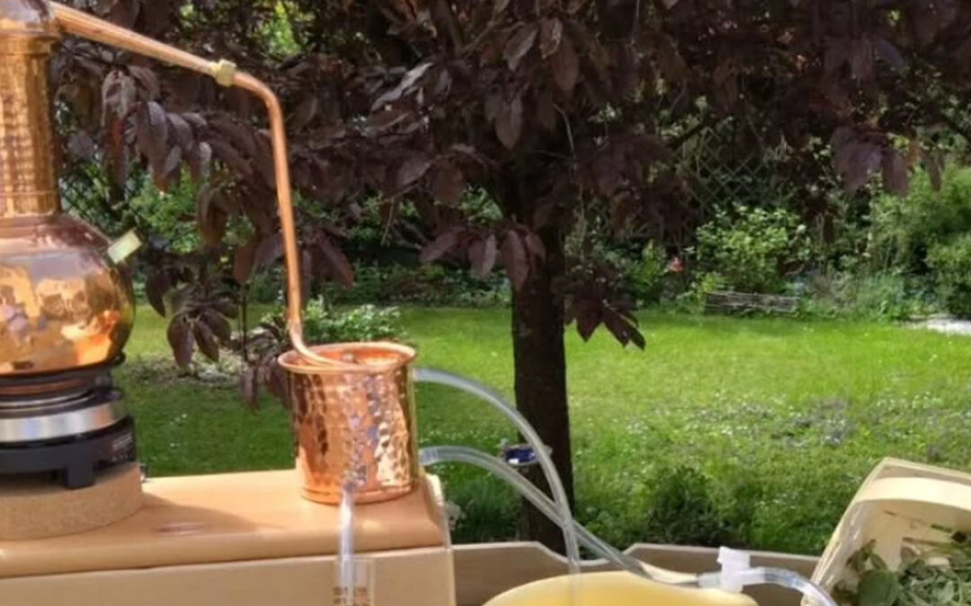 Destillieren von Kräutern + Pflanzen