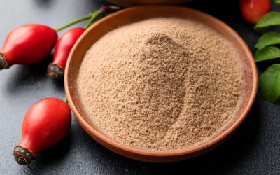 Hagebuttenpulver herstellen