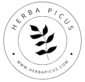 herba picus