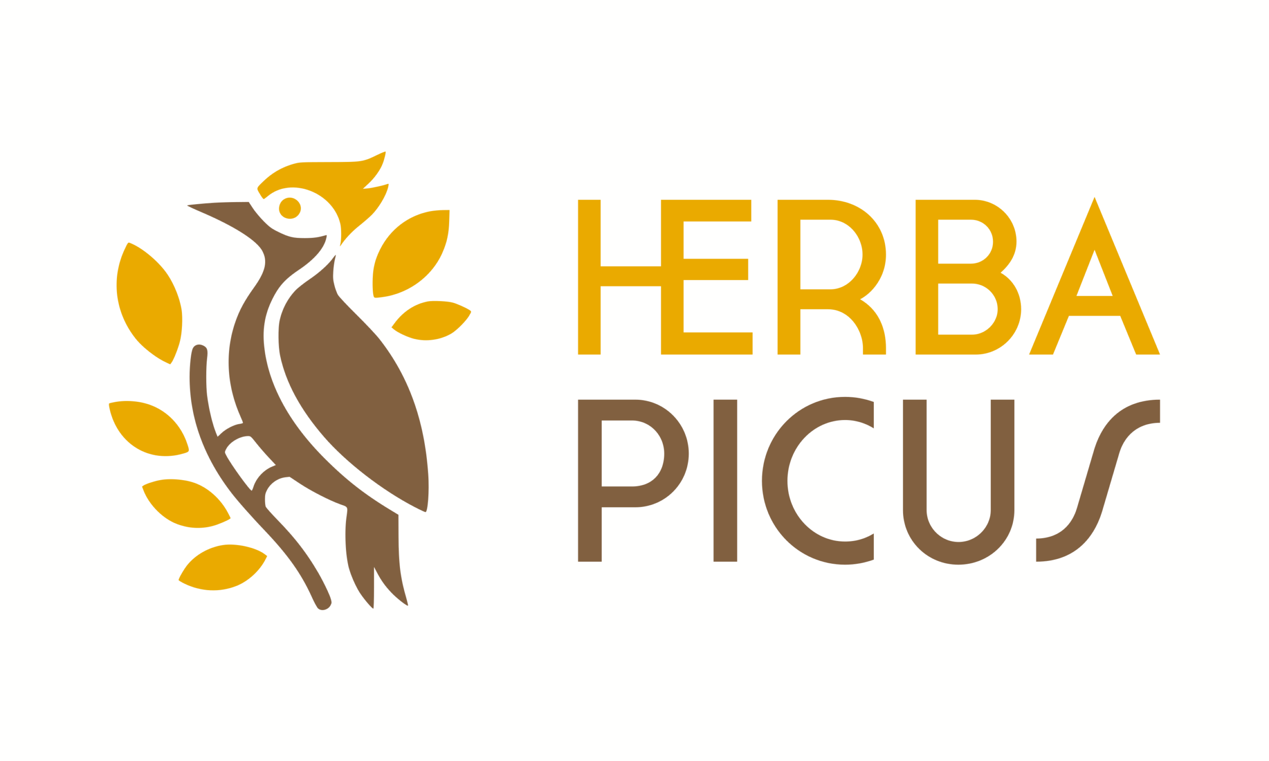 herba picus