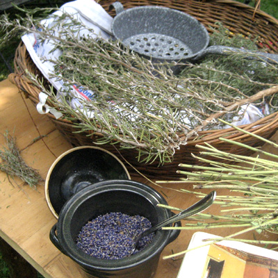 Kräutermischungen herstellen