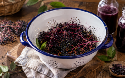 Holunderbeersaft mit Zimt und Vanille – der Geschmack des Frühherbstes