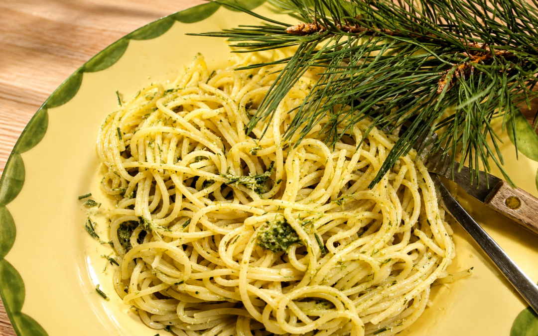 Kiefernpesto – Waldaroma auf dem Teller